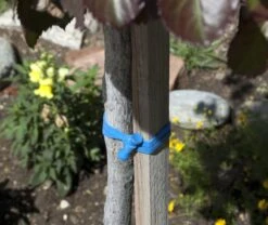 Bongo Ties ALL BLUE A5-01-B – 10 Pack 15 Bongo Ties ALL BLUE A5-01-B – 10 Pack -Cinegear Shop 61ZBDvafvJL. AC SL1000