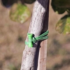 Bongo Ties ALL GREEN Bongo Ties A5-01-G – 10 Pack 12 Bongo Ties ALL GREEN Bongo Ties A5-01-G – 10 Pack -Cinegear Shop 61a2QojuVVL. AC SL1000