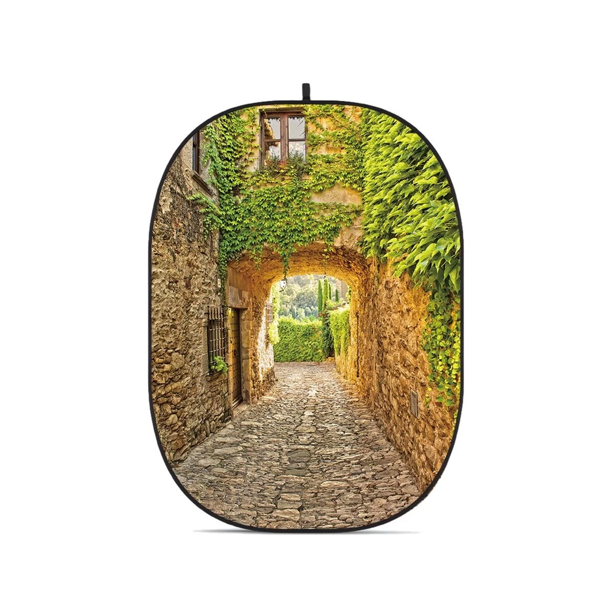 Godox Collapsible Backdrop CBA-CS0002 1 Godox Collapsible Backdrop CBA-CS0002