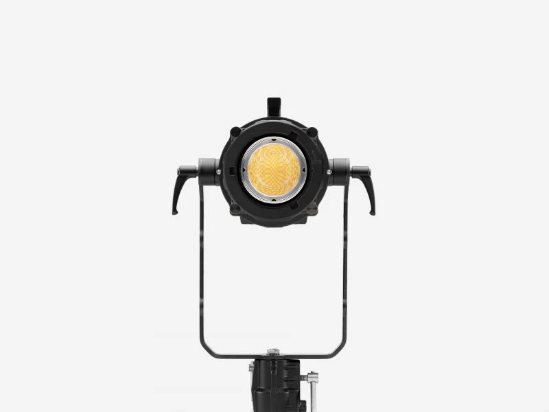 Maxima Furiosa 5 Maxima Furiosa - Image 5