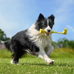 Cinegear Shop -Cinegear Shop cinegear Insta360 Go 3 Fetch Stick 1